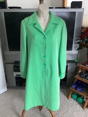 Vintage 70s Polyester GRANDMA Midi Long Sleeve Shift DRESS Green Pinstriped Belt